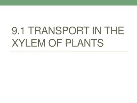 9.1 Transport in the Xylem of Plants