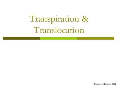 Transpiration & Translocation