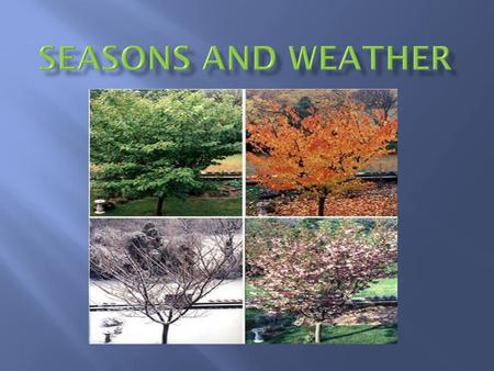 Seasons and Weather.