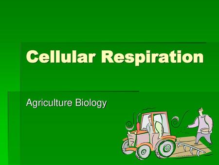 Cellular Respiration Agriculture Biology.