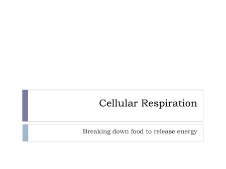 Breaking down food to release energy