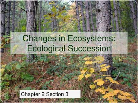 Changes in Ecosystems: Ecological Succession