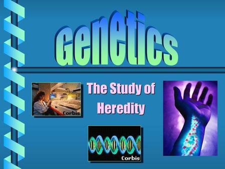 Genetics The Study of Heredity.