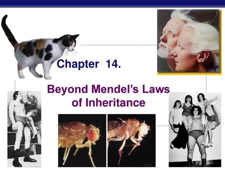 Beyond Mendel’s Laws of Inheritance