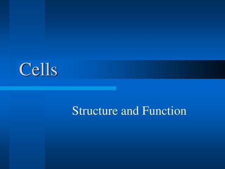 Structure and Function