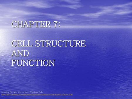 CHAPTER 7: CELL STRUCTURE AND FUNCTION