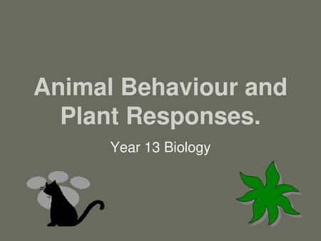 Animal Behaviour and Plant Responses.