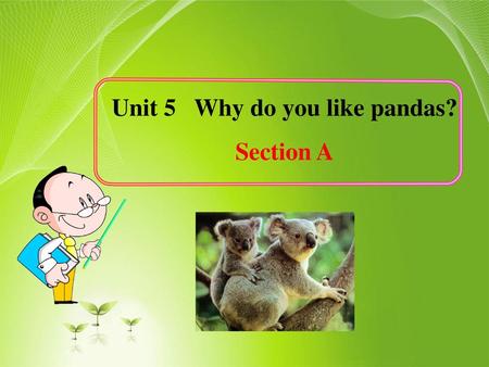 Unit 5 Why do you like pandas?