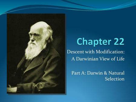 Chapter 22 Descent with Modification: A Darwinian View of Life