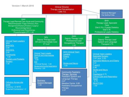 Version 1 March 2016 Clinical Director Therapy and Rehabilitation