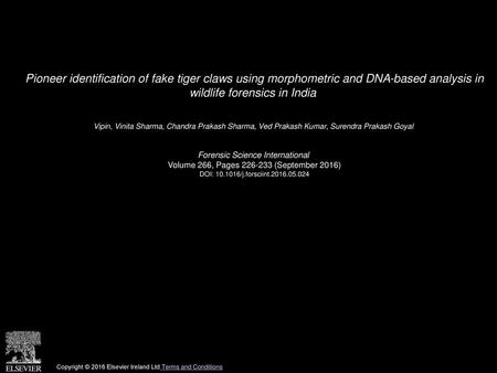 Pioneer identification of fake tiger claws using morphometric and DNA-based analysis in wildlife forensics in India  Vipin, Vinita Sharma, Chandra Prakash.