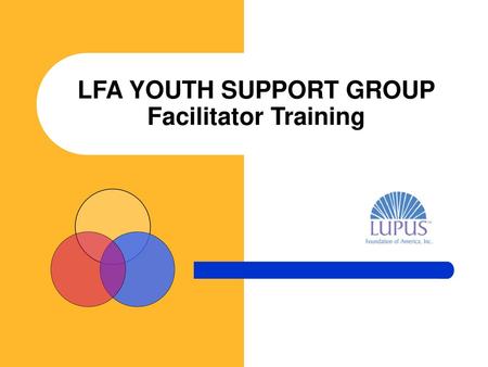 LFA YOUTH SUPPORT GROUP Facilitator Training