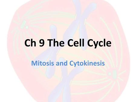 Mitosis and Cytokinesis