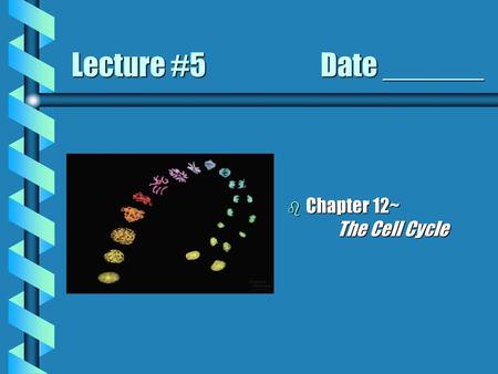 Lecture #5 			Date ______ Chapter 12~ 		The Cell Cycle.