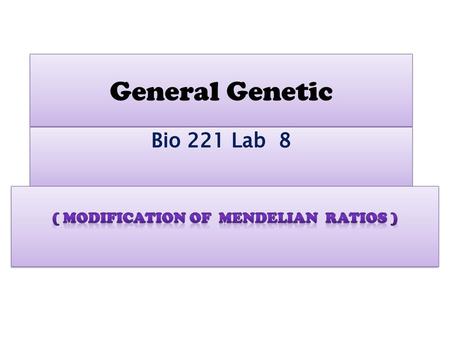 ( Modification of Mendelian ratios )