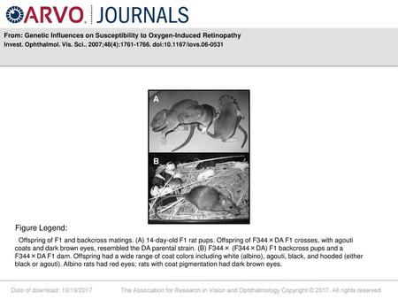 Invest. Ophthalmol. Vis. Sci ;48(4): doi: /iovs Figure Legend: