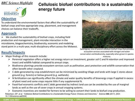 Cellulosic biofuel contributions to a sustainable energy future