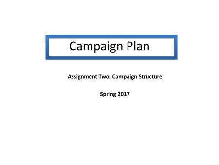 Assignment Two: Campaign Structure Spring 2017