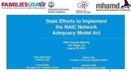 State Efforts to Implement the NAIC Network Adequacy Model Act NAIC Summer Meeting San Diego, CA August 28, 2016 Claire McAndrew Families USA Cindy Zeldin.