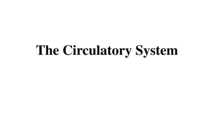 The Circulatory System