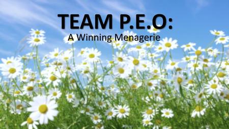 TEAM P.E.O: A Winning Menagerie.