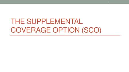 The Supplemental Coverage Option (SCO)