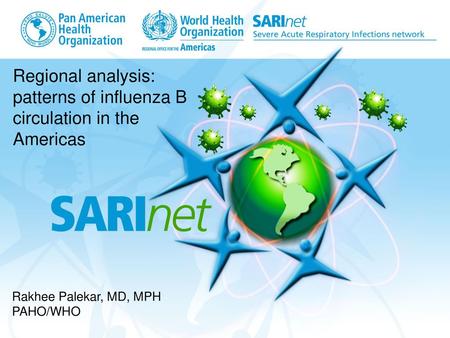 Regional analysis: patterns of influenza B circulation in the Americas