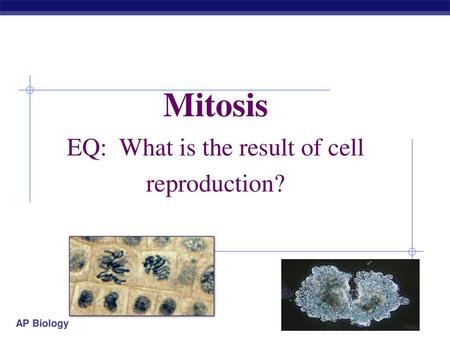 Mitosis EQ: What is the result of cell reproduction?