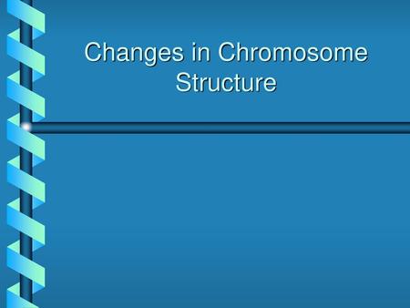 Changes in Chromosome Structure