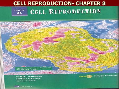 CELL REPRODUCTION- CHAPTER 8