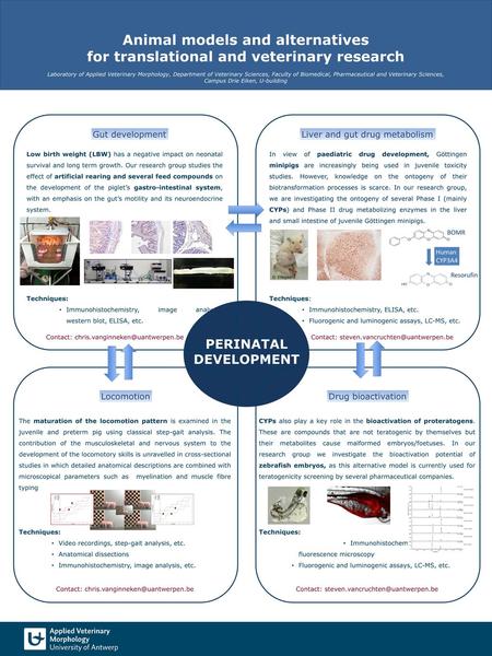 PERINATAL DEVELOPMENT