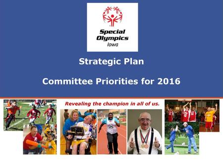 Committee Priorities for 2016 Revealing the champion in all of us.