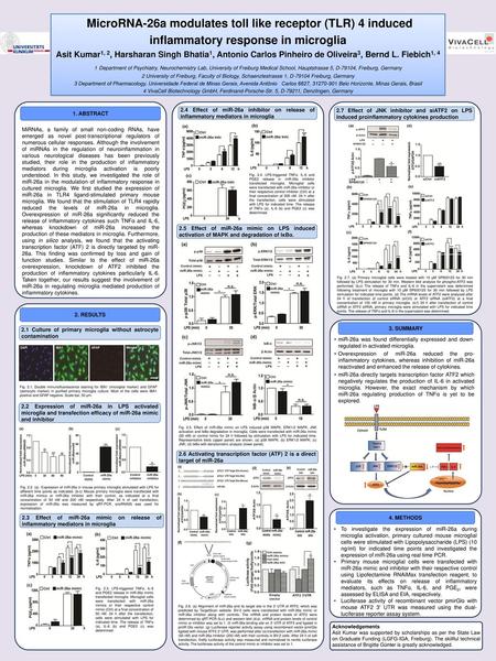 1. ABSTRACT MiRNAs, a family of small non-coding RNAs, have emerged as novel post-transcriptional regulators of numerous cellular responses. Although the.