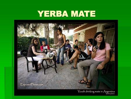 YERBA MATE.