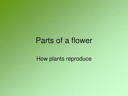 Parts of a flower How plants reproduce.