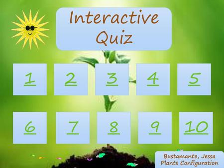 Interactive Quiz Bustamante, Jessa