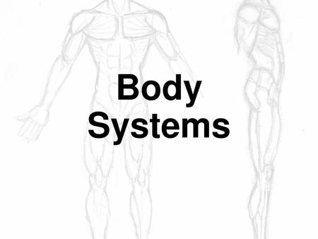 Body Systems.