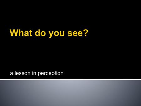 What do you see? a lesson in perception.