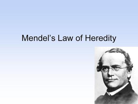 Mendel’s Law of Heredity