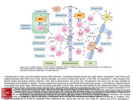 Proposed sites of action of current multiple sclerosis (MS) treatments