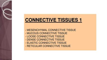 CONNECTIVE TISSUES 1 - MESENCHYMAL CONNECTIVE TISSUE - MUCOUS CONNECTIVE TISSUE - LOOSE CONNECTIVE TISSUE - DENSE CONNECTIVE TISSUE - ELASTIC CONNECTIVE.