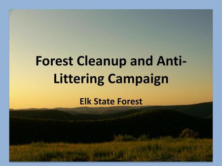 Forest Cleanup and Anti-Littering Campaign