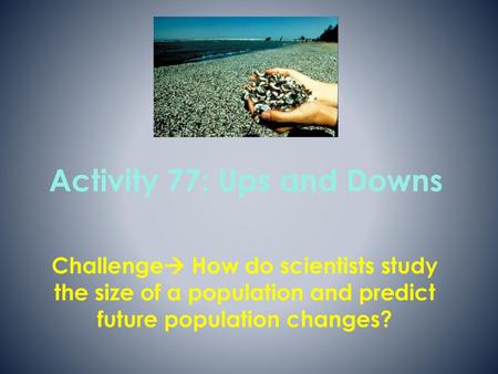 Activity 77: Ups and Downs