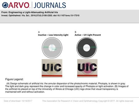 Figure Legend: From: Engineering a Light-Attenuating Artificial Iris