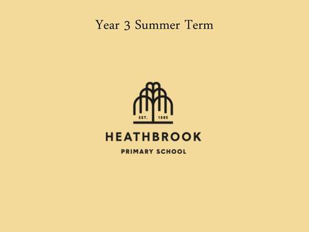 Year 3 Summer Term.