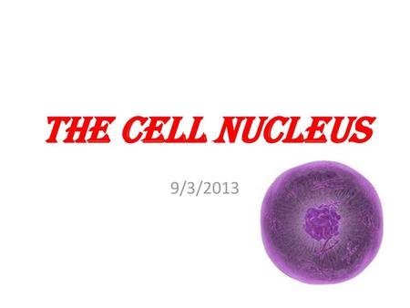 The cell nucleus 9/3/2013.