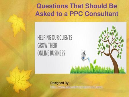 Questions That Should Be Asked to a PPC Consultant