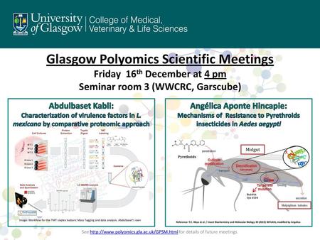 Friday 16th December at 4 pm Seminar room 3 (WWCRC, Garscube)