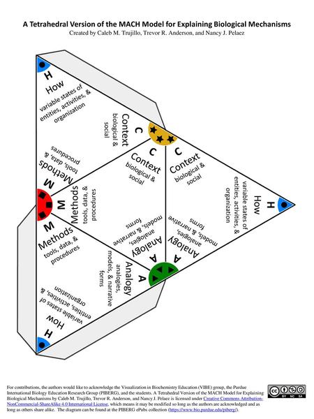 H C    C C M M H M A A A H How Context biological & social Context