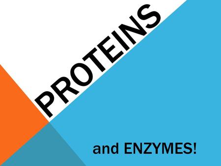 PROTEINS and ENZYMES!.